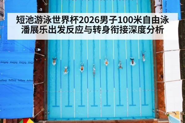 short course swimming pool lanes overhead view - KAIYUN SPORTS