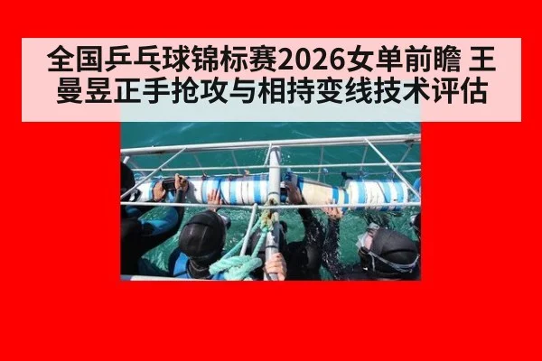 全国乒乓球锦标赛2026女单前瞻 王曼昱正手抢攻与相持变线技术评估 - KAIYUN SPORTS